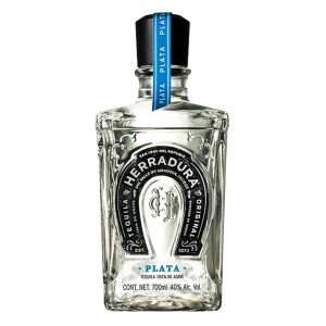 HERRADURA PLATA